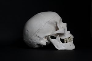 Image of human skull against black background